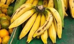 Mangatwahiri Fresh Plantains